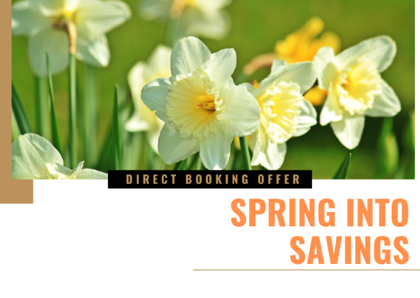 Spring Into Savings  The POD Boutique Capsule Hotel Singapore