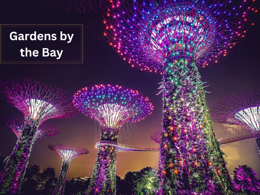 Gardens by the bay  The POD Boutique Capsule Hotel Singapore